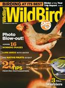 Wildbird